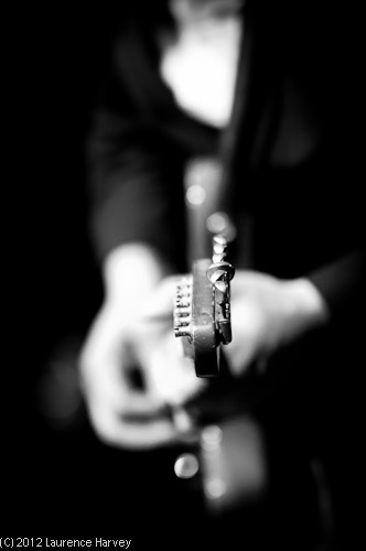 Ron Sayer on guitar & vocals