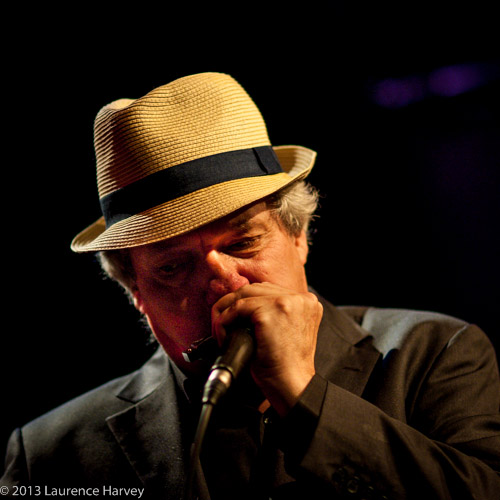 David Raphael on harmonica