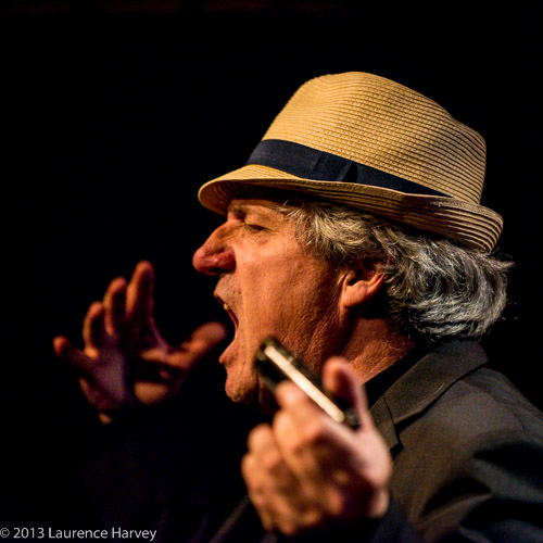 David Raphael on harmonica