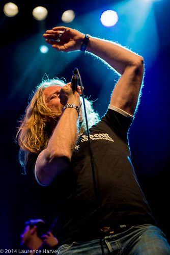 Andrew Elt