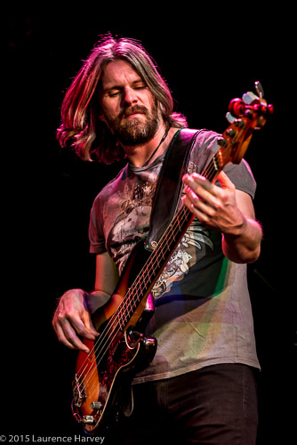 Andy Tolman on bass
