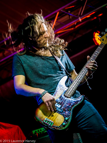 Erik Sandin on bass