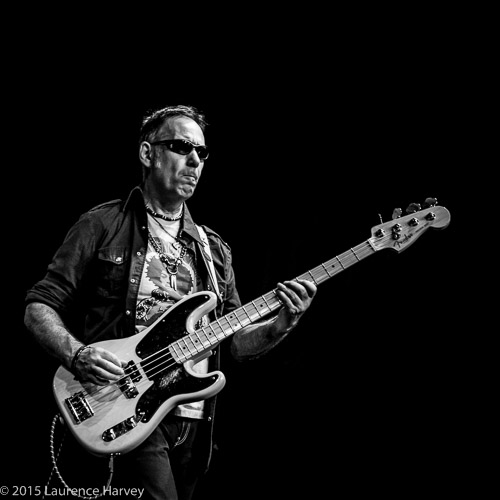 Derek White on bass