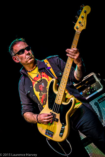 Derek White on bass