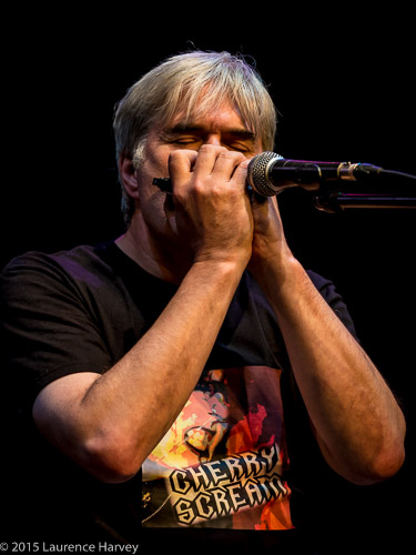 Stuart 'Son' Maxwell on vocals & blues harp
