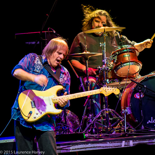Walter Trout on guitar & vocals