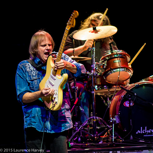 Walter Trout on guitar & vocals