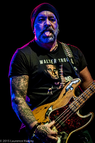 Johnny Griparic on bass