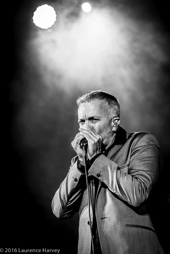 JJ Grey on vocals & harmonica