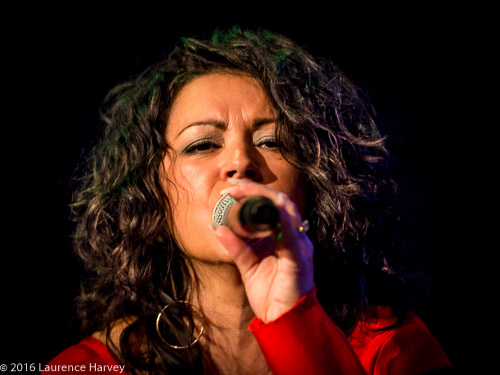 Malaya Blue on vocals