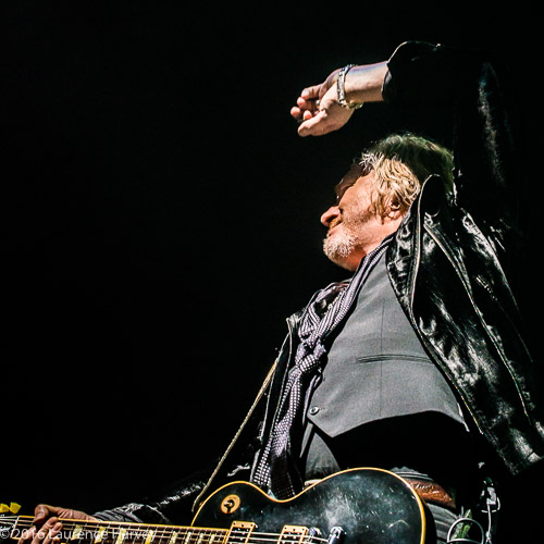 Luke Morley on guitar