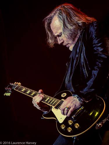 Luke Morley on guitar