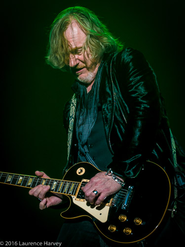 Luke Morley on guitar