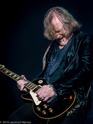 Luke Morley on guitar