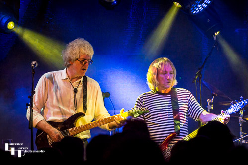 Roger Steen on guitar & Rick Anderson on bass