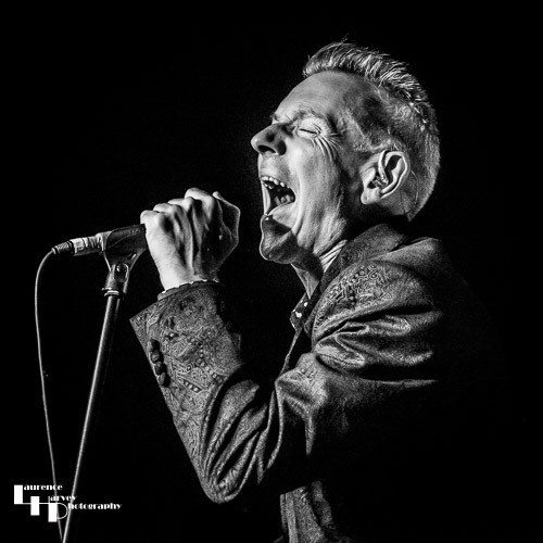 Dr Feelgood: Robert Kane on vocals