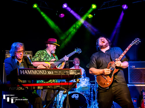 Catfish on stage at the Bucks Blues Fest