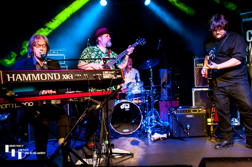 Catfish on stage at the Bucks Blues Fest