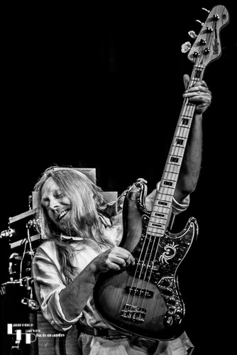 Jamie Mallender on bass