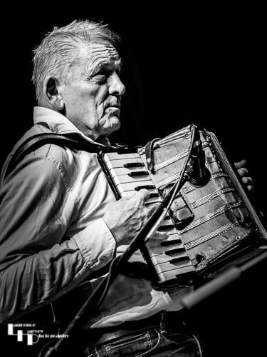 Geraint Watkins on accordian
