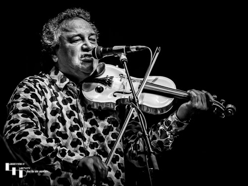 Steve Simpson on fiddle