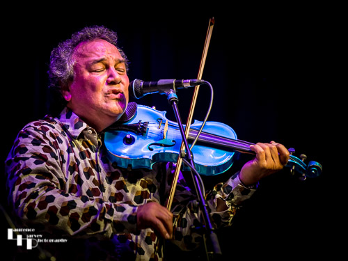 Steve Simpson on fiddle