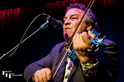 Steve Simpson on fiddle