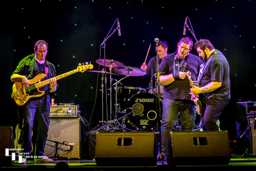 The Stevie Nimmo Trio (plus 1) on stage at The Harlington