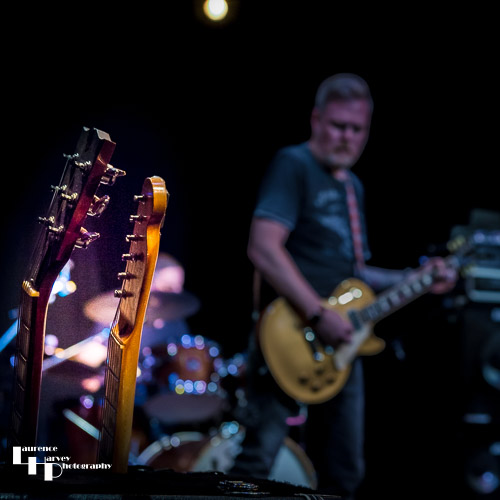 Jamie Peters' guitars