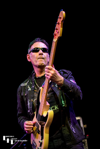 Derek White on bass