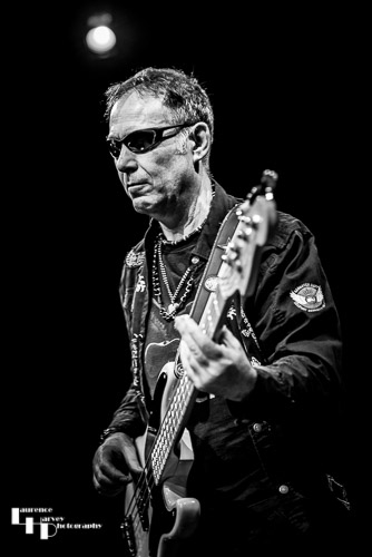 Derek White on bass