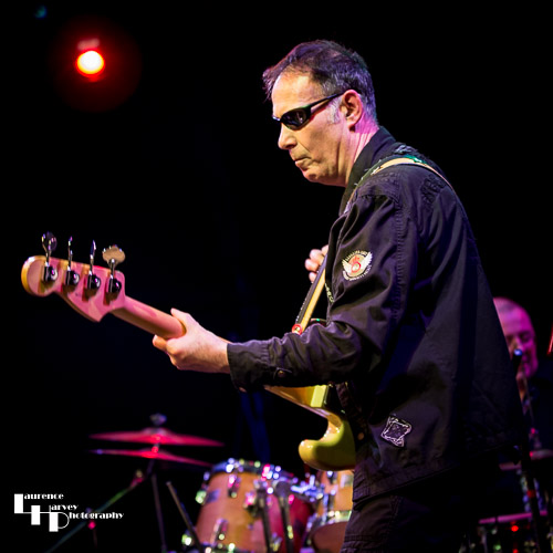 Derek White on bass