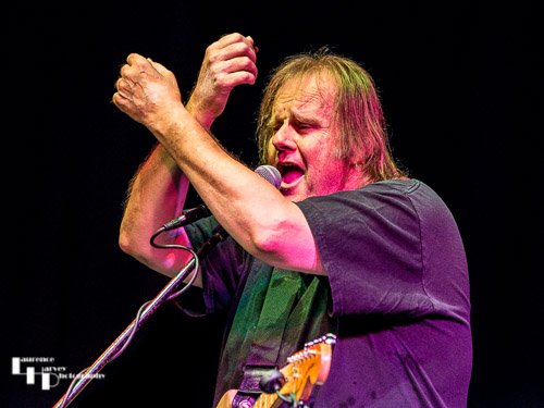 Walter Trout on vocals & guitar