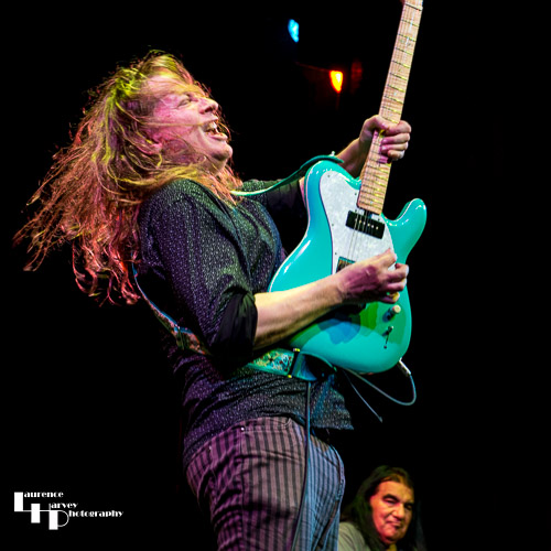 Guest, Innes Sibun on guitar