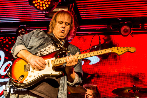 Walter Trout on vocals & guitar