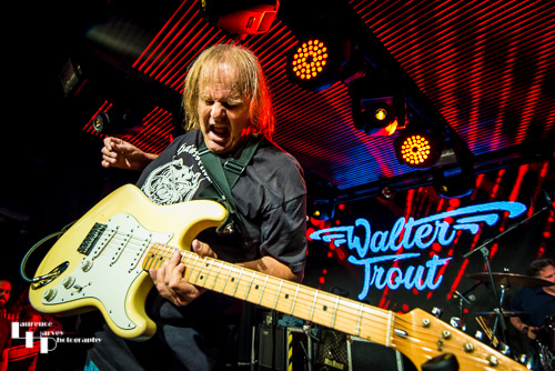 Walter Trout on vocals & guitar