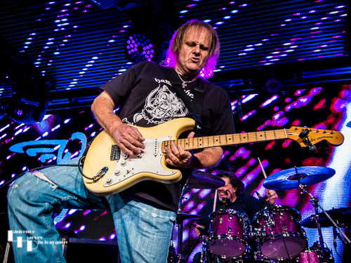 Walter Trout on vocals & guitar