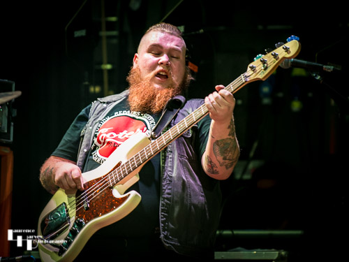 Dale Tonks on bass
