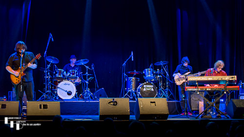 Catfish on stage at The Harlington