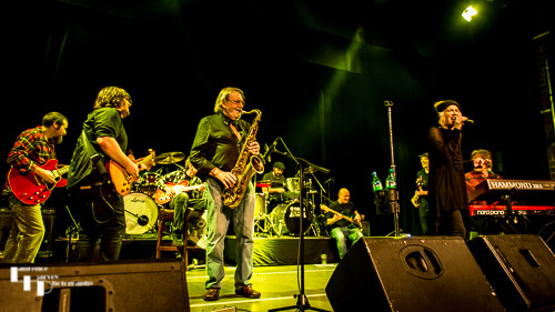 Catfish, Northsyde & guests jamming on stage at The Harlington