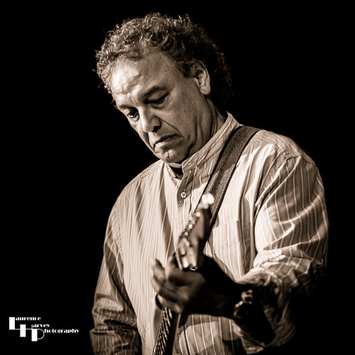 Steve Simpson on guitar