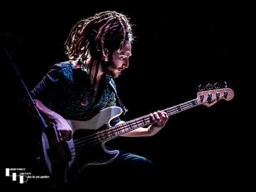 Luigi Casanova on bass