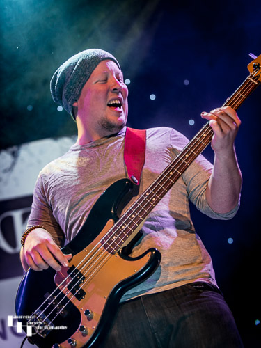 Peter Adams on bass