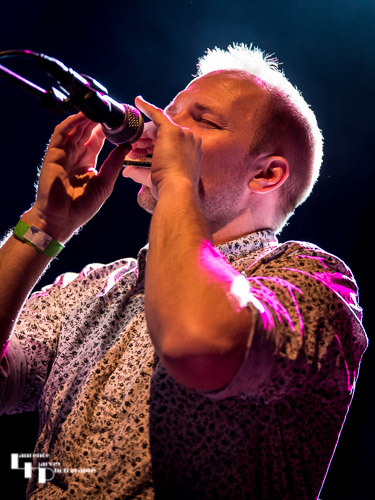 Gareth Tucker on harmonica