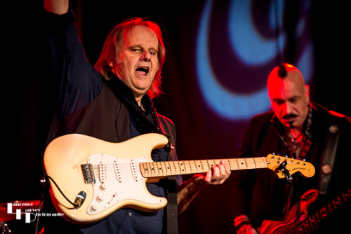 Walter Trout on vocals & guitar