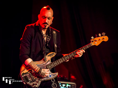 Johnny Griparic on bass