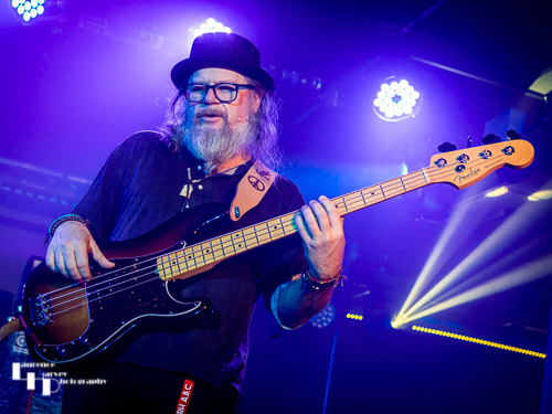 Born Healer: Marek Funkas on bass