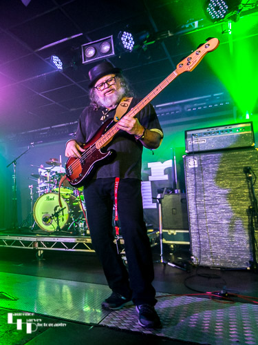 Born Healer: Marek Funkas on bass