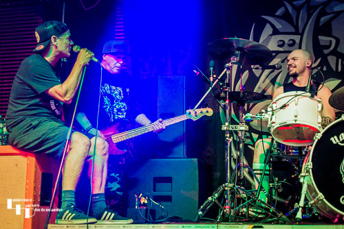 Whitfield Crane on lead vocals, Cordell Crockett on bass & Cam Greenwood on drums