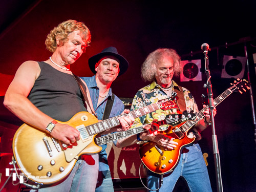Free & Co on stage at The Banham Barrel